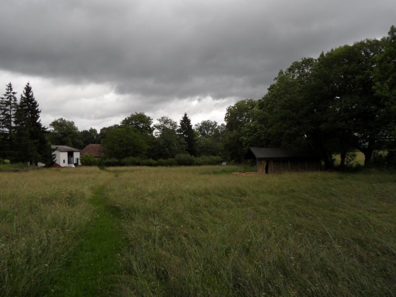 dreigendweertje.jpg