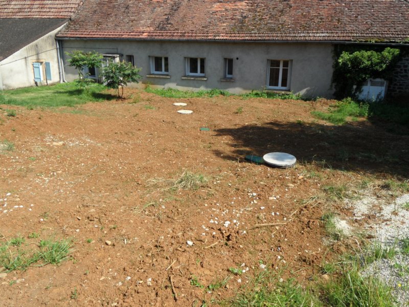 grasbegintoptekomen.jpg