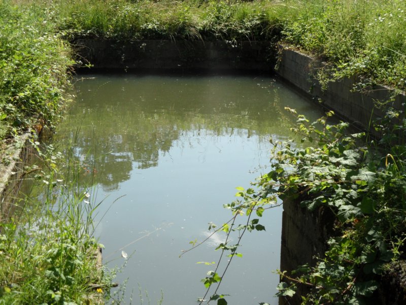 natuurzwembad.jpg